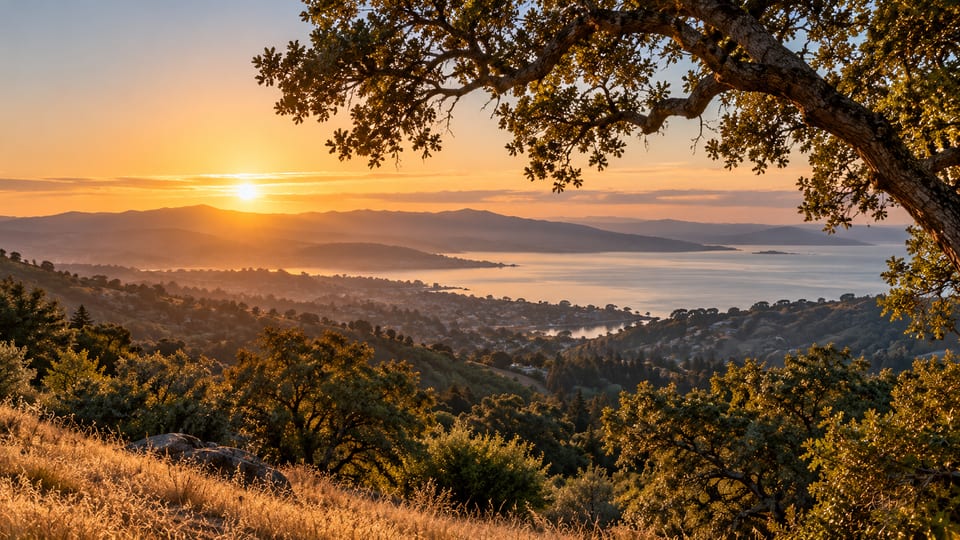 Concept illustration of oak-covered Bay Area hills overlooking water and distant ridgelines at sunset.
